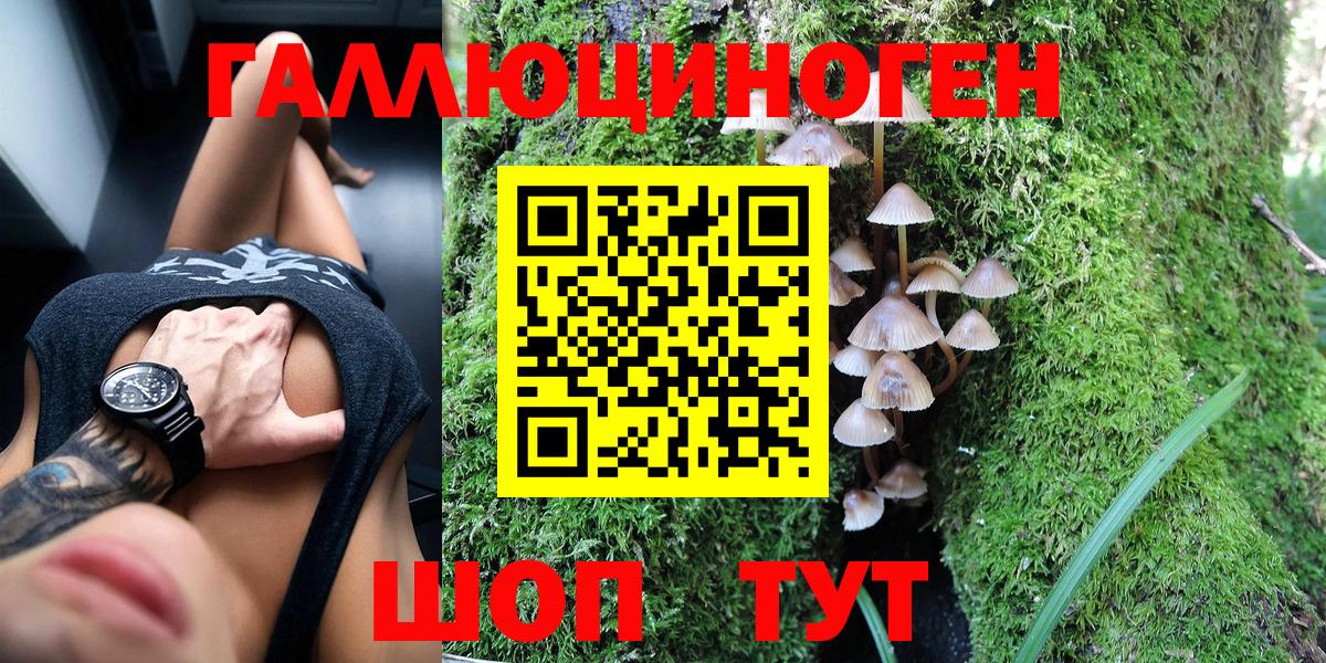 Кинель  Псилоцибиновые грибы Magic Shrooms  Вход с VPN 